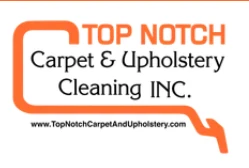 Why Professional Carpet Cleaning Is Worth the Investment