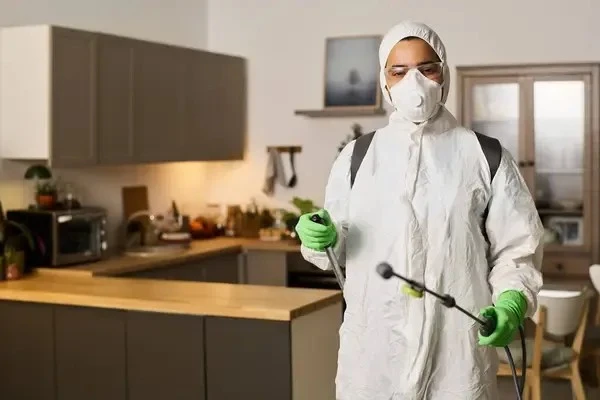 Pest Control Edmonton: How to Protect Your Home and Business From Unwanted Invaders