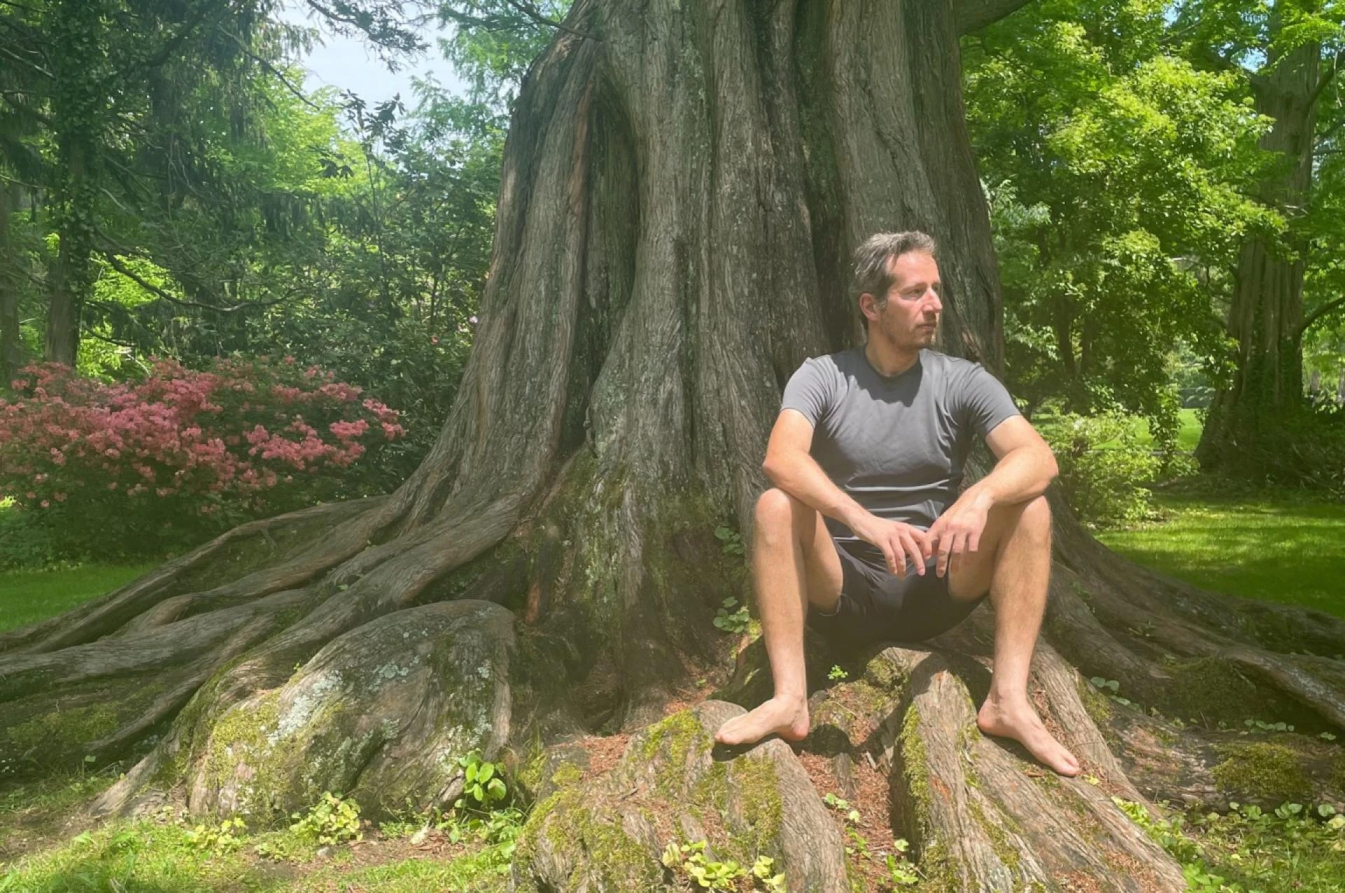 How Metamorphosis Coaching Improves Leadership