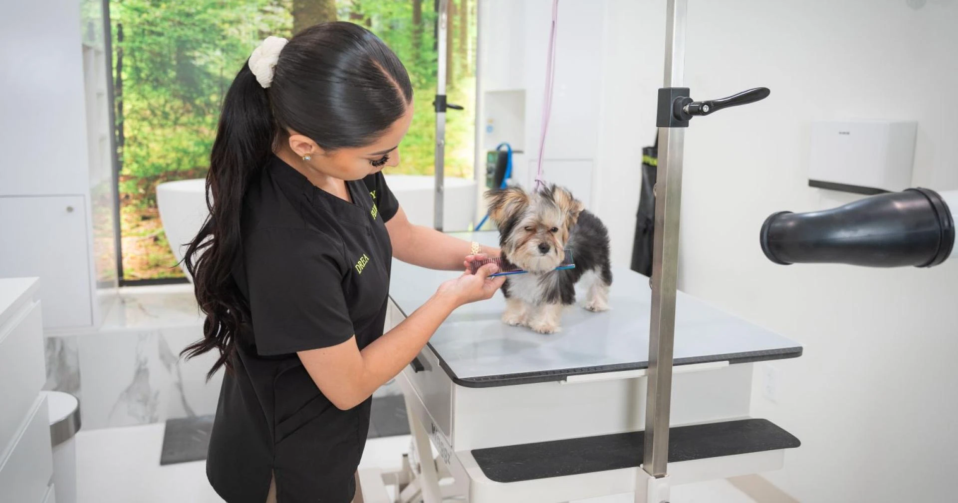 Top Rated Dog Grooming Packages in North Hollywood Pet Salon USA for a Fresh Spring Season Look