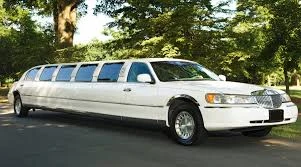 What Matters Most When Comparing Wedding Transport Packages?