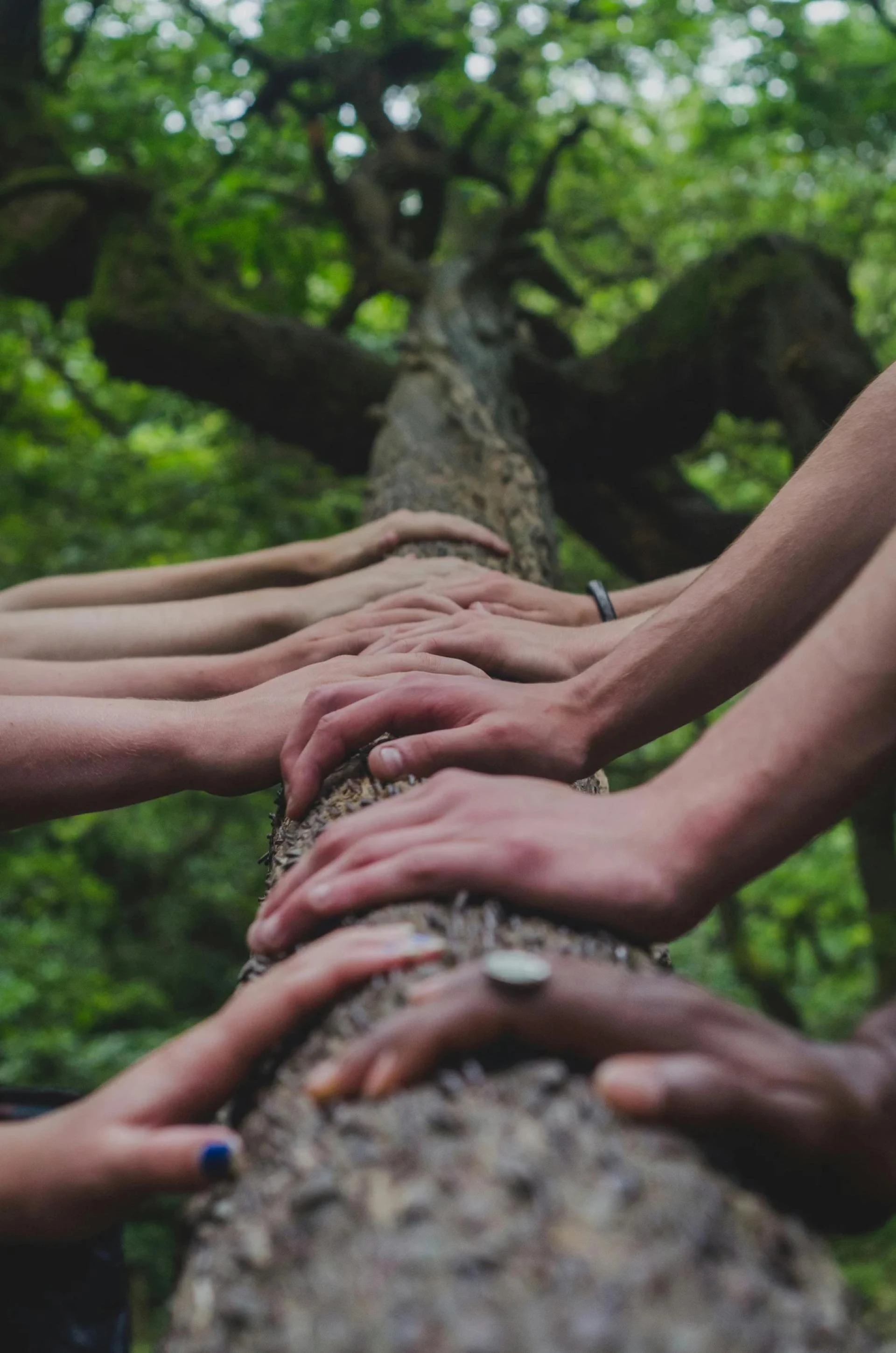 Want to Know How to Plan a Retreat Venue for Effective Leadership?