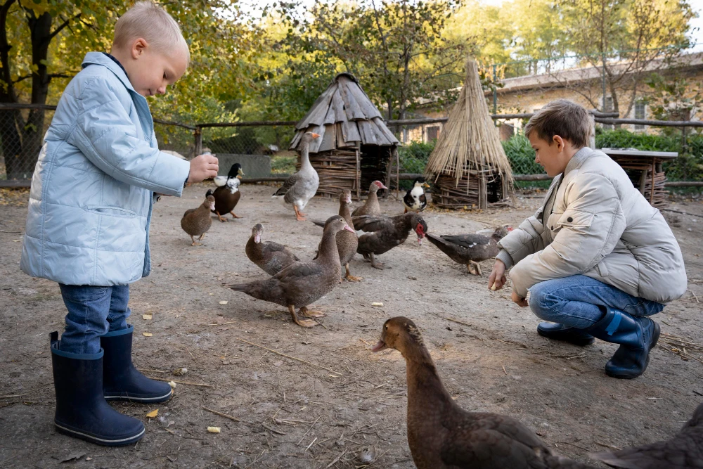 Petting Zoo Pigeon Forge: Perfect for Kids and Visitors