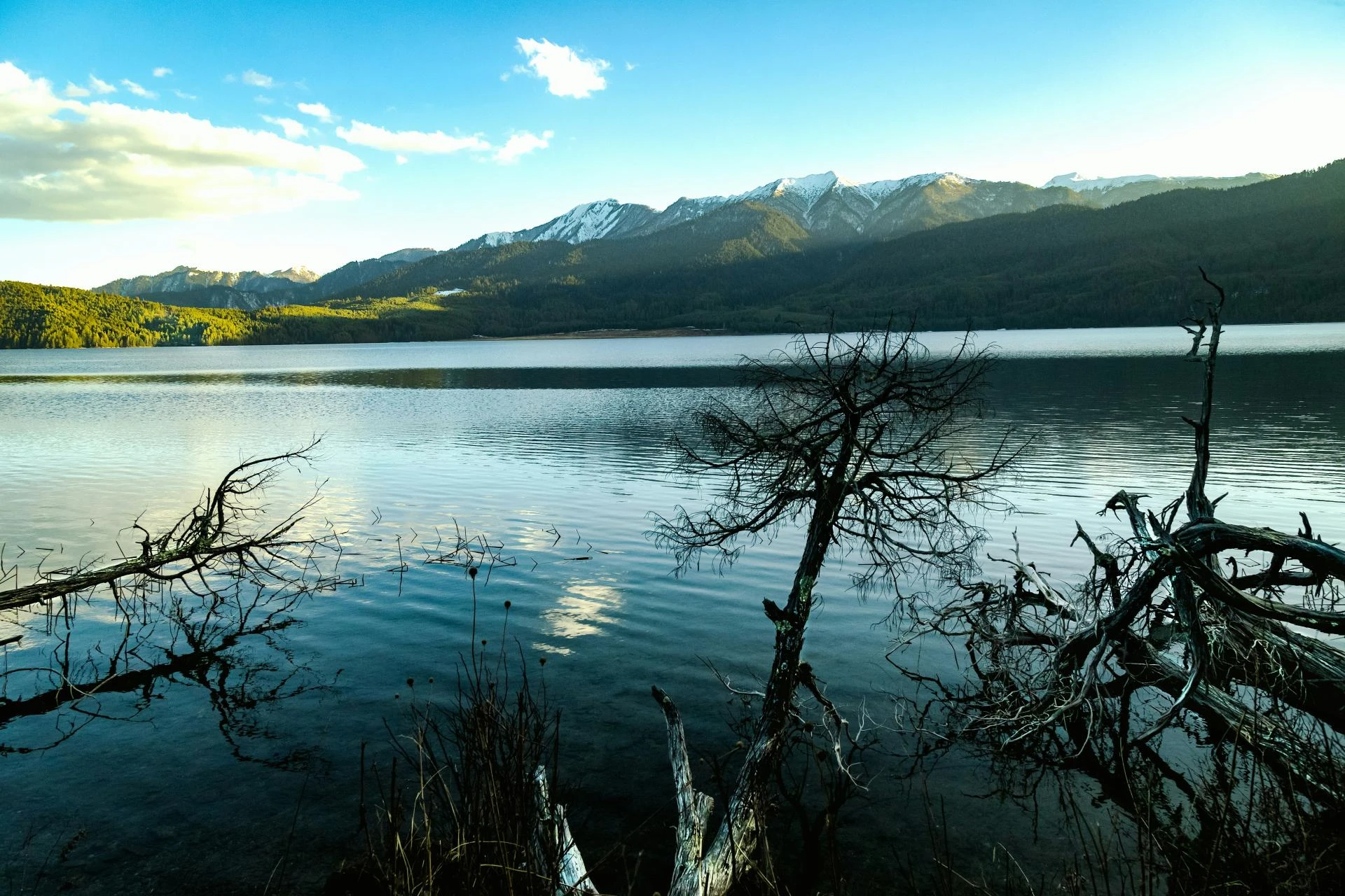 Luxury 2026 Rara Lake Jeep Tour Package: 7 Days of Peaceful Mountain Discovery