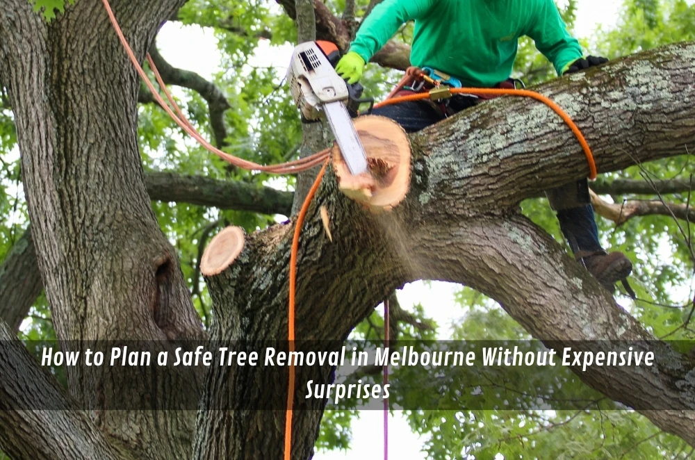 How to Plan a Safe Tree Removal in Melbourne Without Expensive Surprises