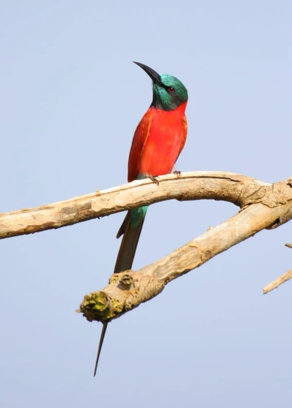 When Is the Best Time to Take a Papua New Guinea Tour