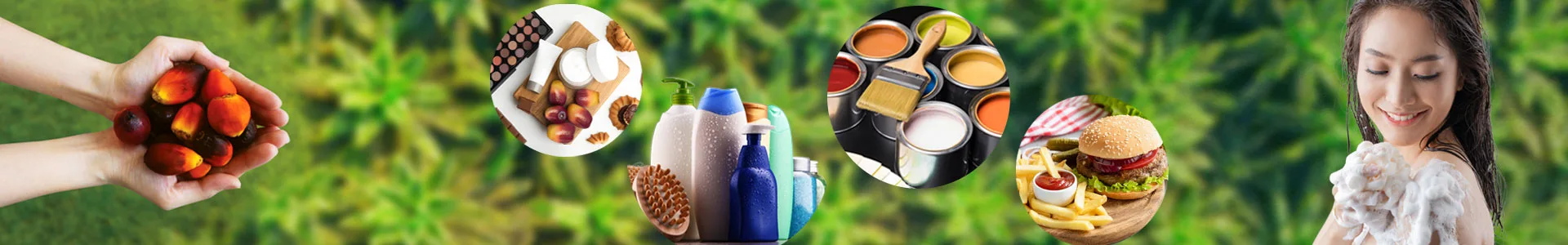Coconut Oil: Crude, RBD and Hydrogenated Types, Uses and Global Supply