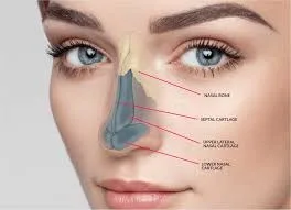 Aesthetic Clinic Abu Dhabi: Good Results Start Before the Treatment