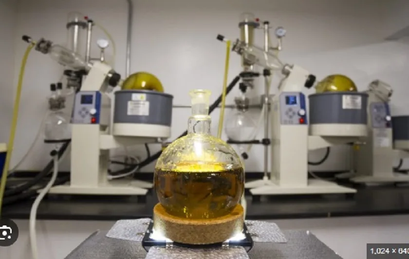 How to Choose Affordable Extraction Equipment