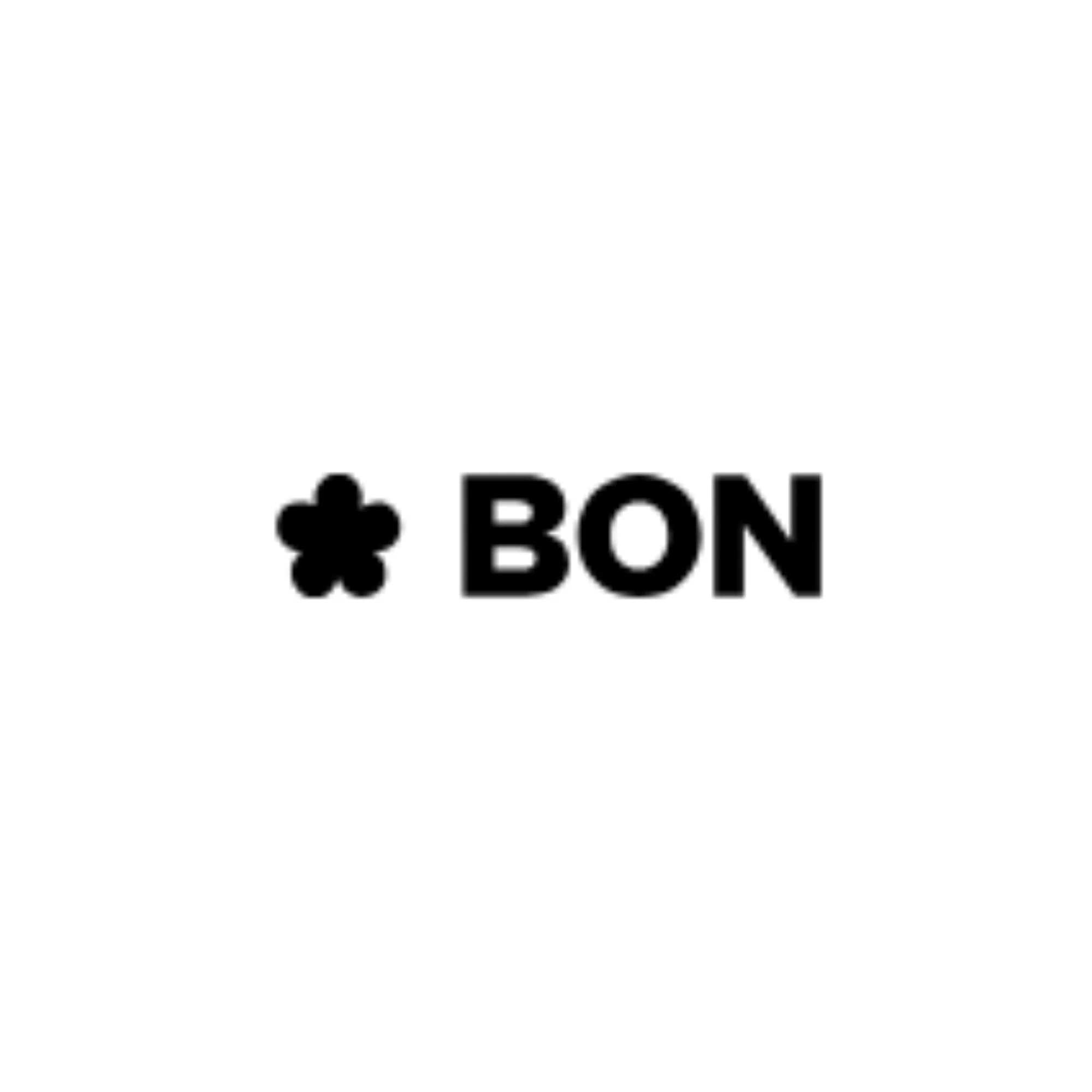 Bon Credit