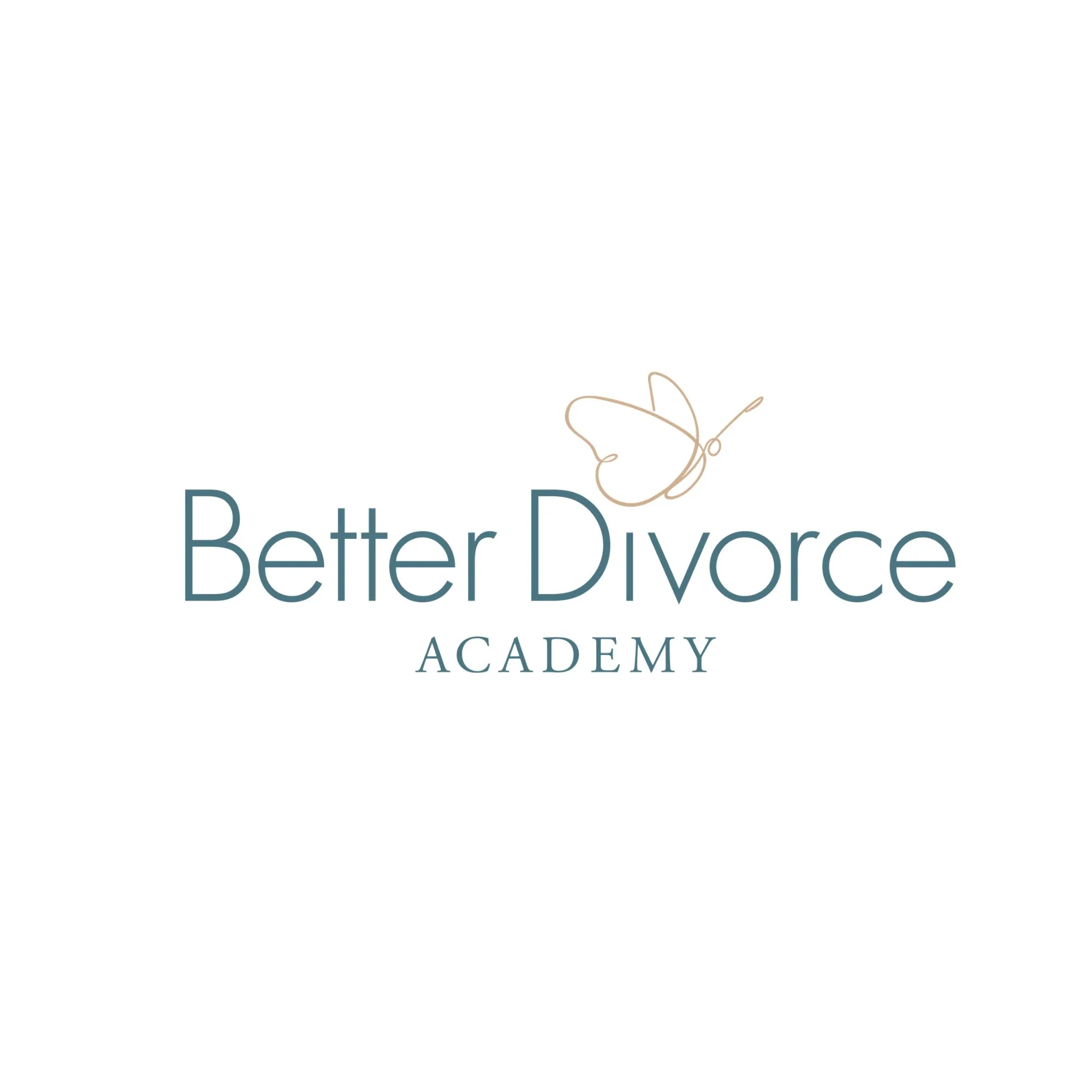 Better Divorce Academy