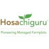 Hosachiguru