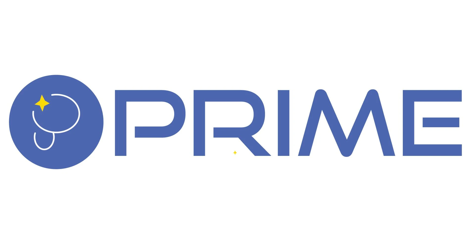 PRIME IT SYSTEMS LTD