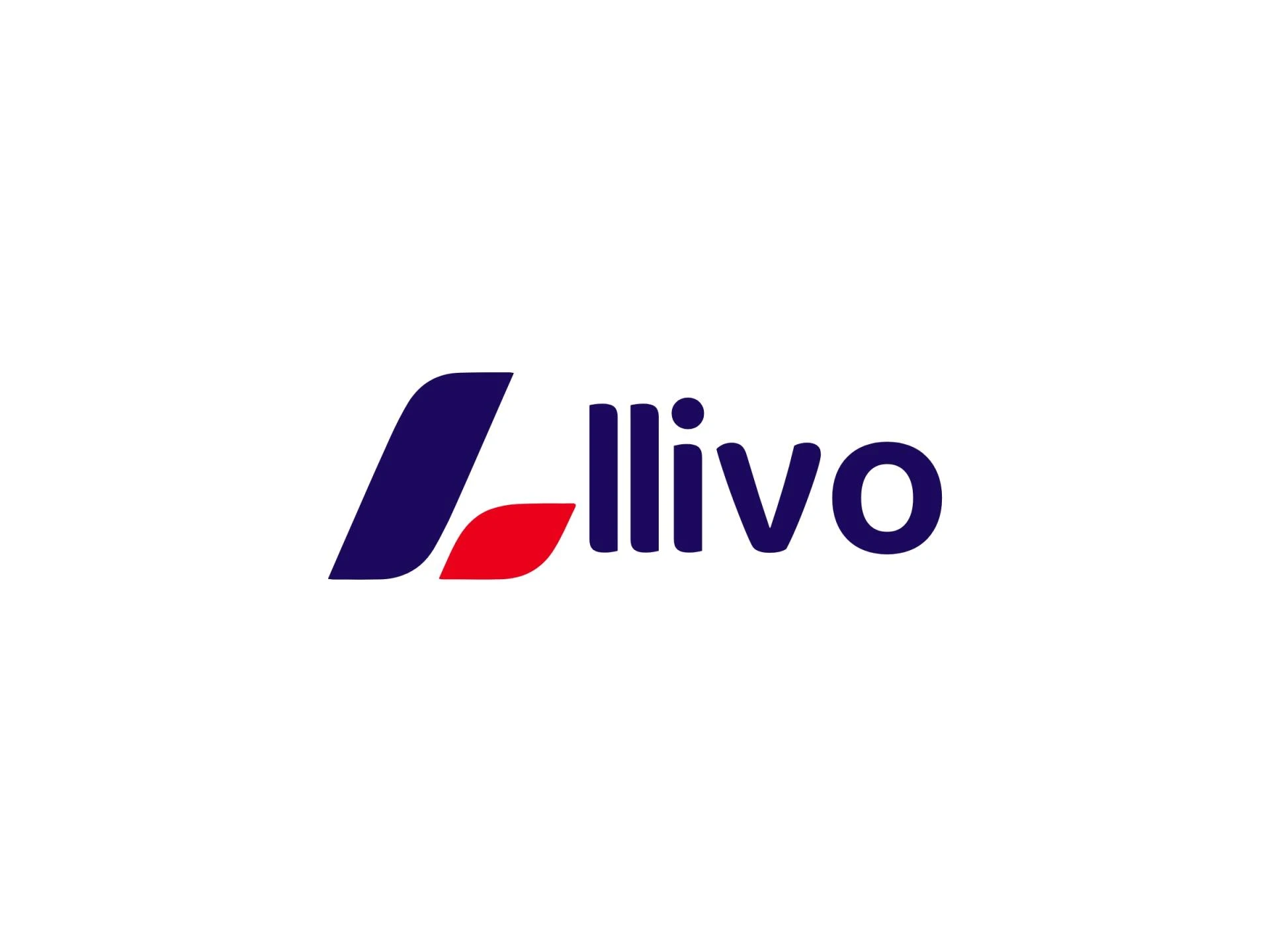 Llivo Team