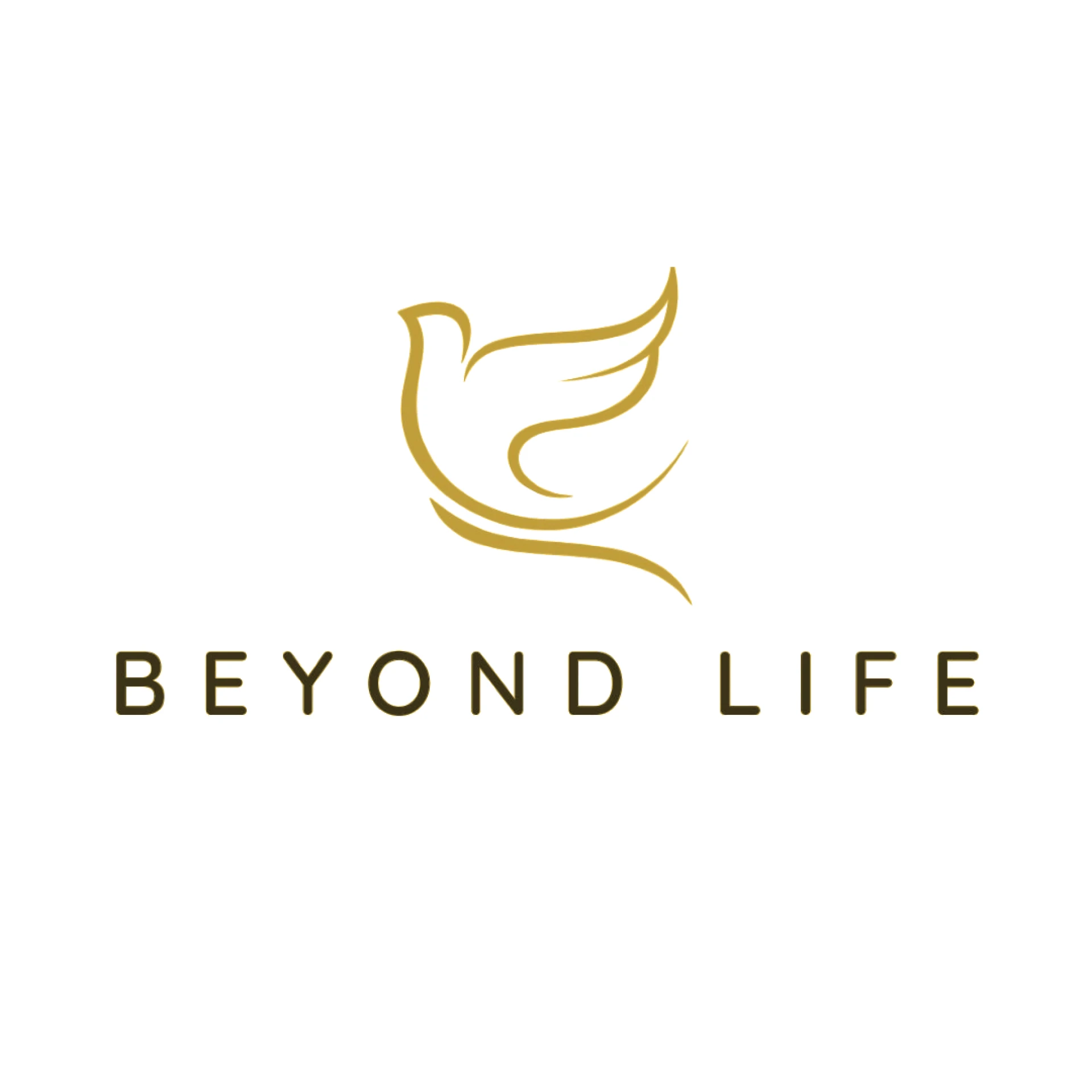 Beyond Life Funeral Services