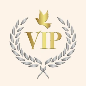 Vip Luxury Travel Advisor