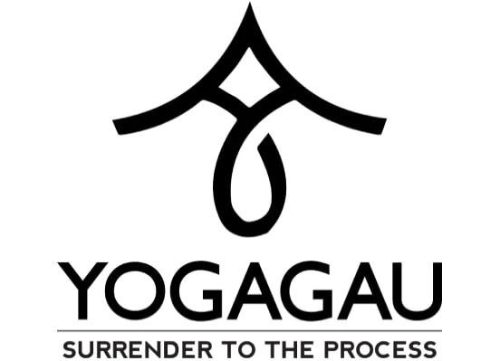 yoga teacher training in kerala