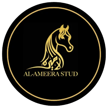 alameerastud
