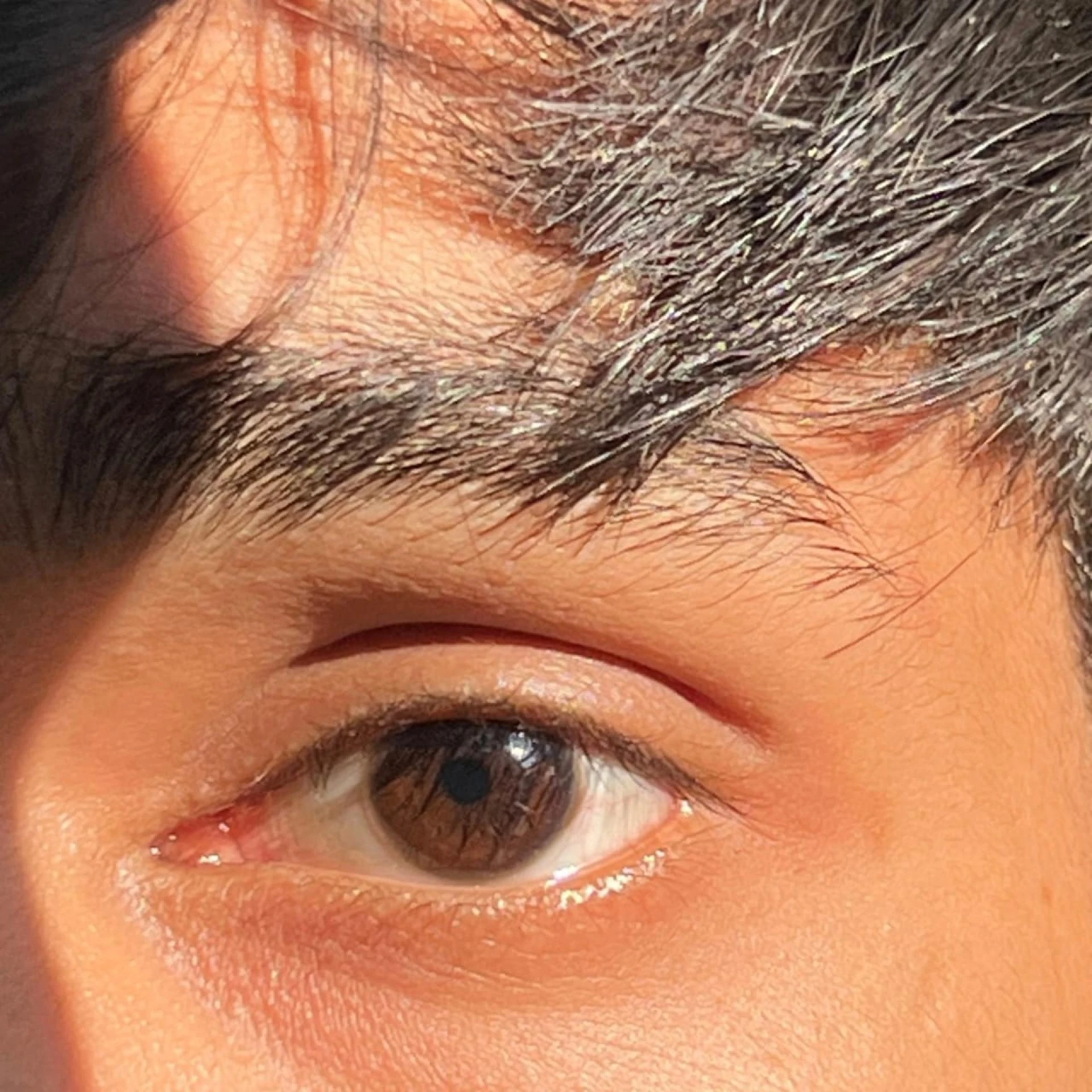 ritik yadav