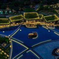DLF Camellias