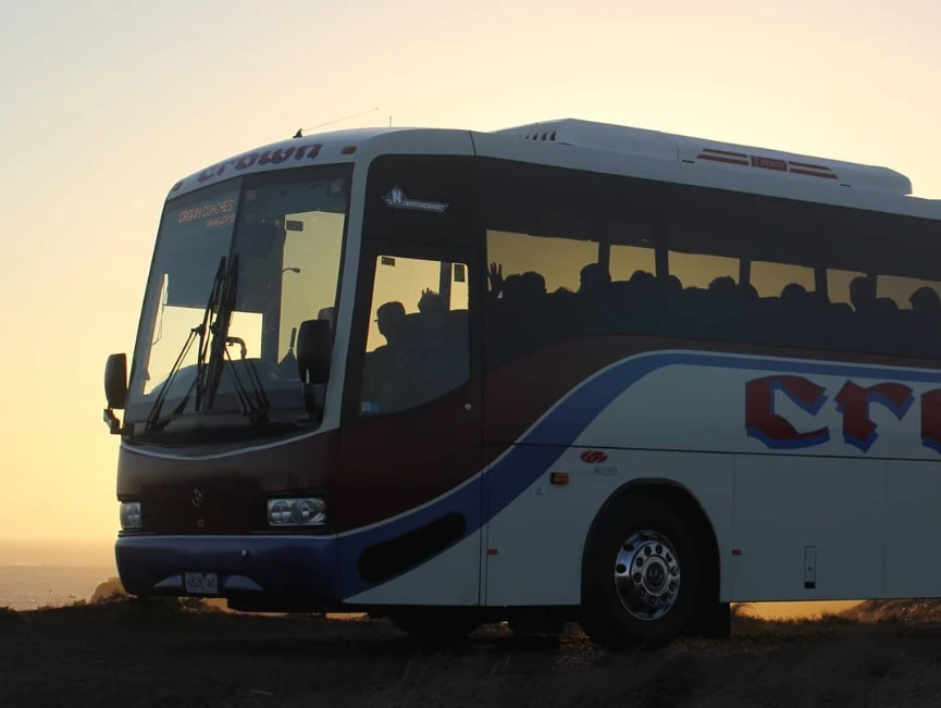 Crown Coaches