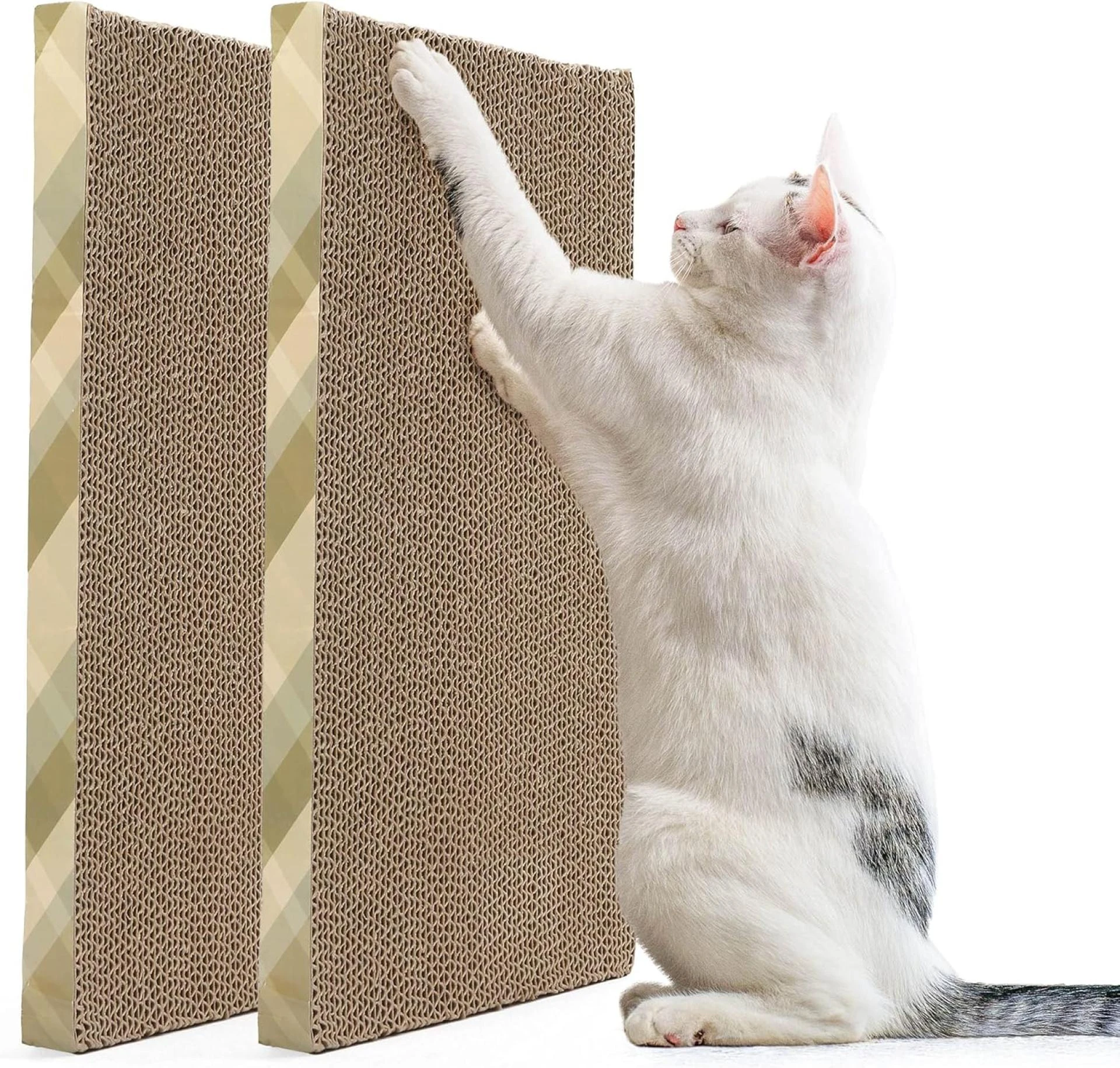 catscratcherhouse