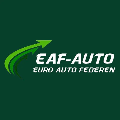 EAF Auto Parts Traders LLC