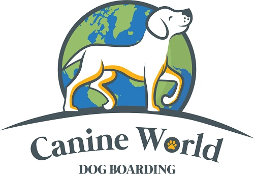 Canine world dog boarding