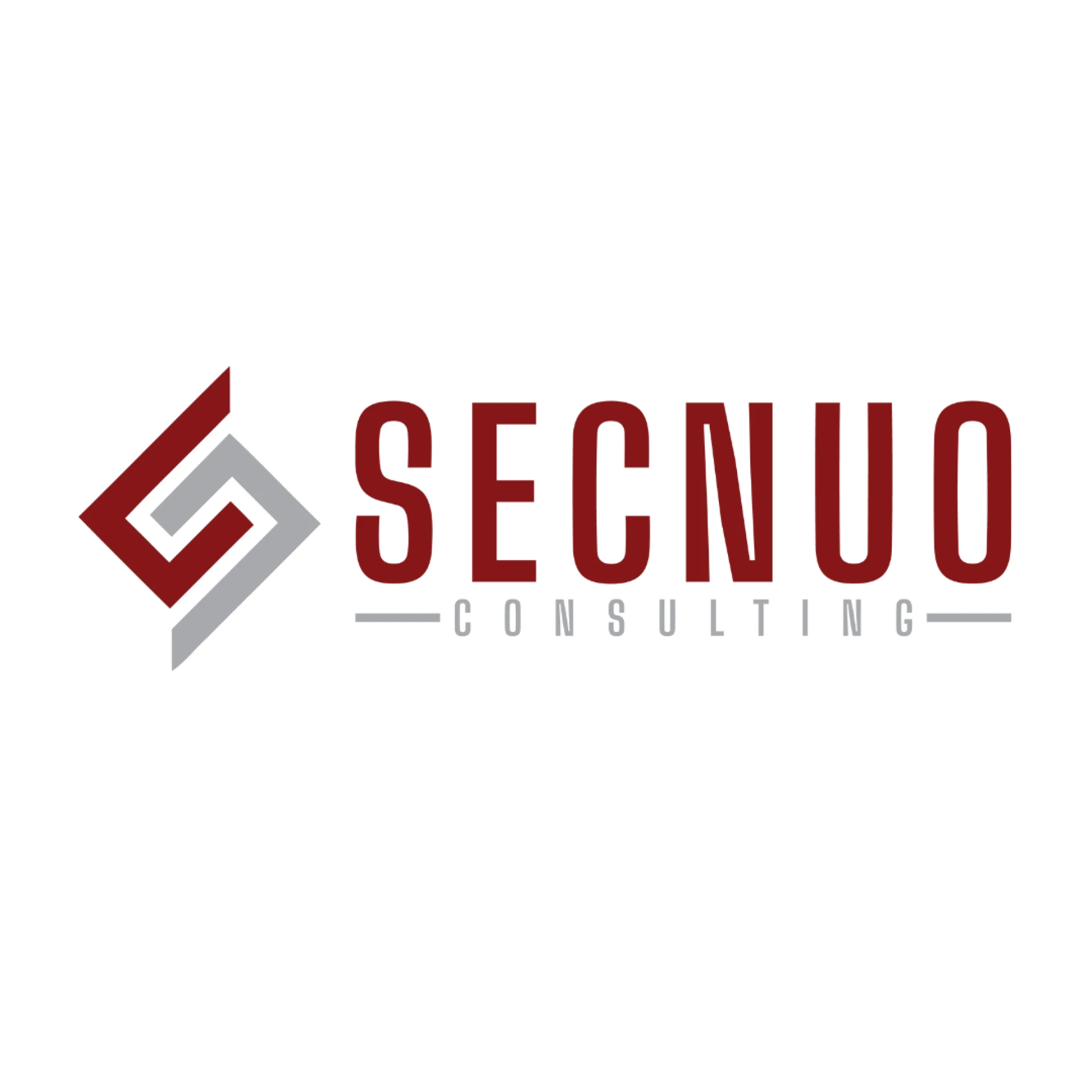 SECNUO CONSULTING