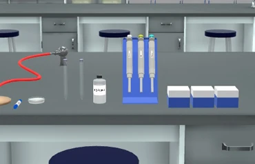 edutechpraxilabs