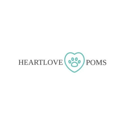 Heartlove Poms