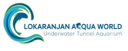 Underwater Zone SEO