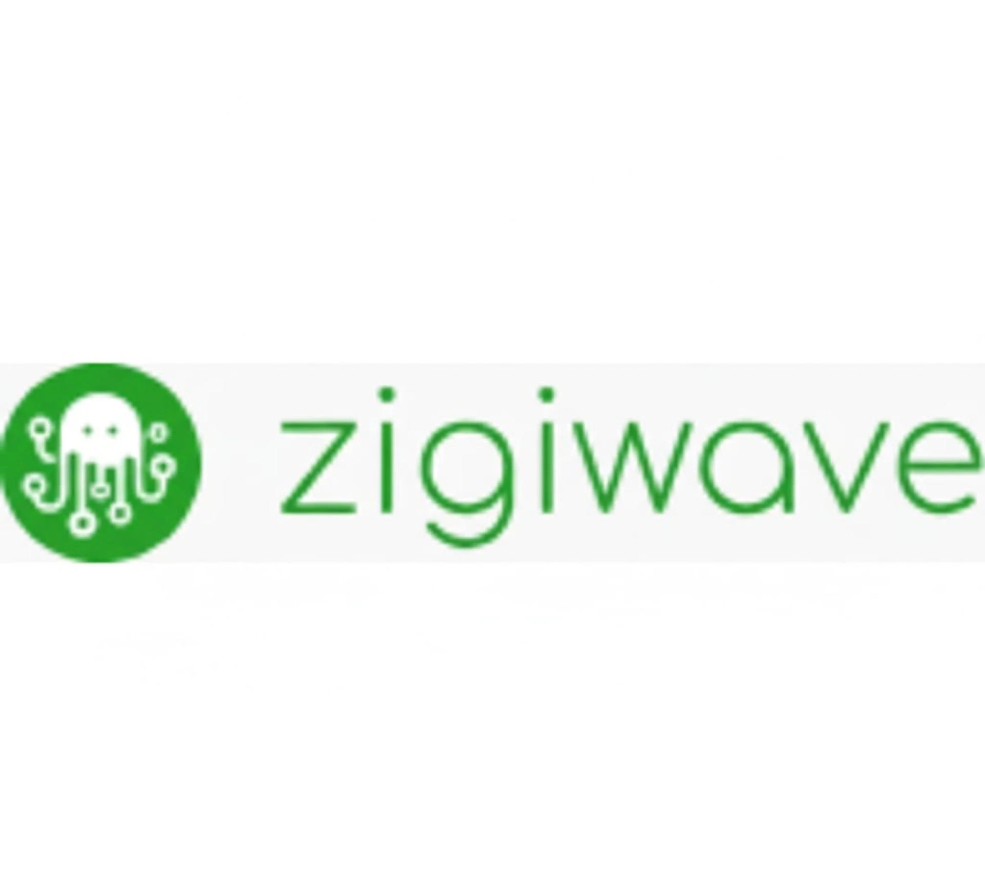 Zigi wave
