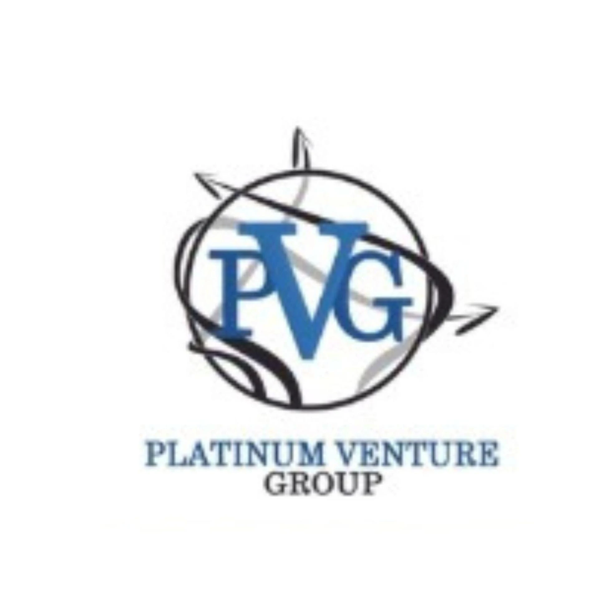 platinum venture group 